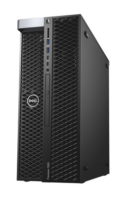 Dell Precision 7820 Tower Xeon Platinum 8260 2,4 GHz / 128 GB / 960 SSD / Win 11 Pro